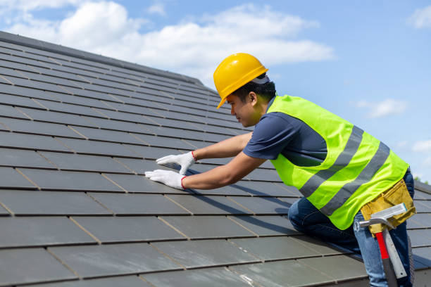 Best Roof Gutter Cleaning  in Bastrop, TX